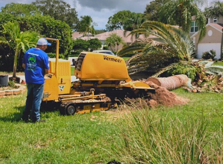 stump grinding on a patio with a yellow machine